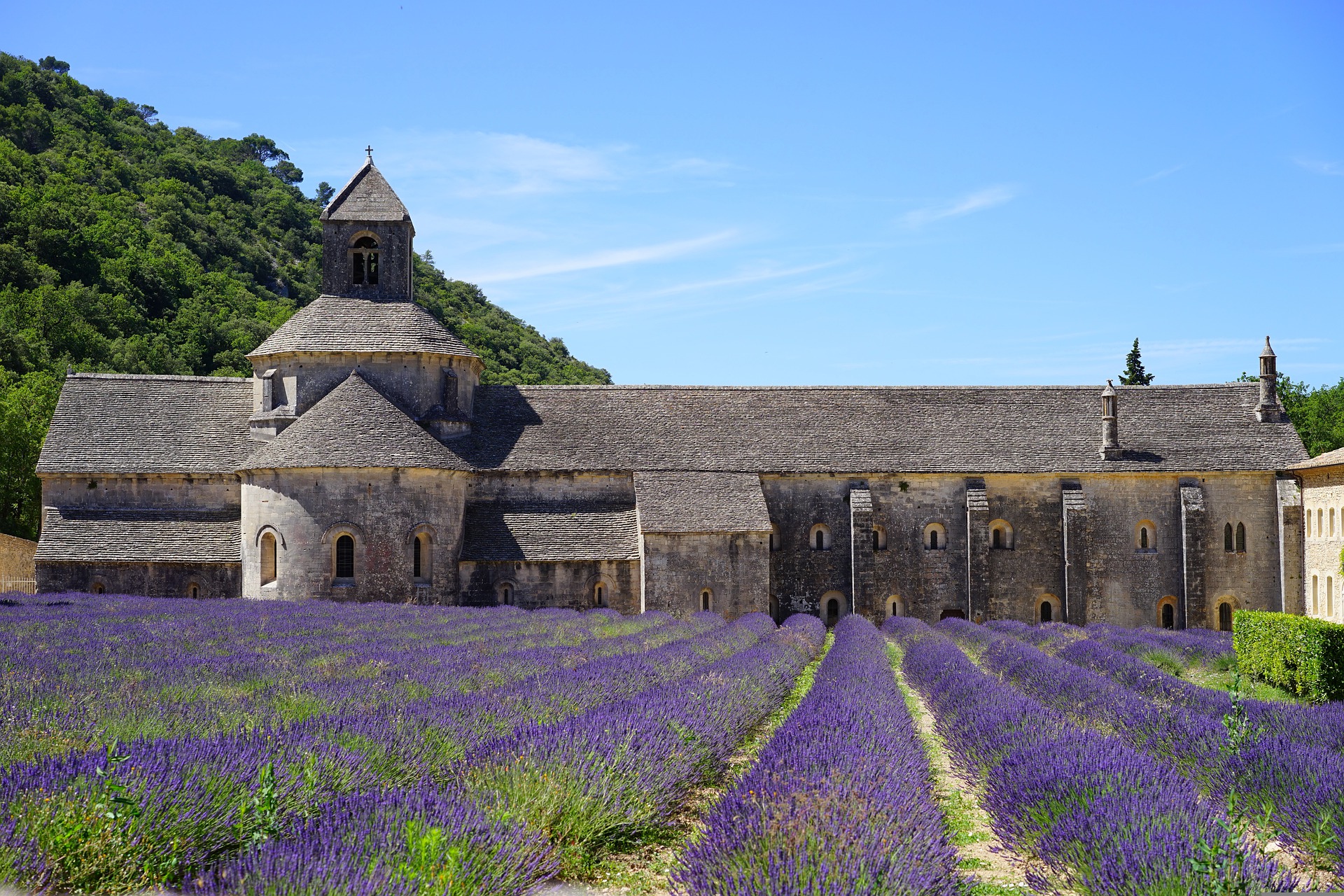 Abbaye de Sénanque