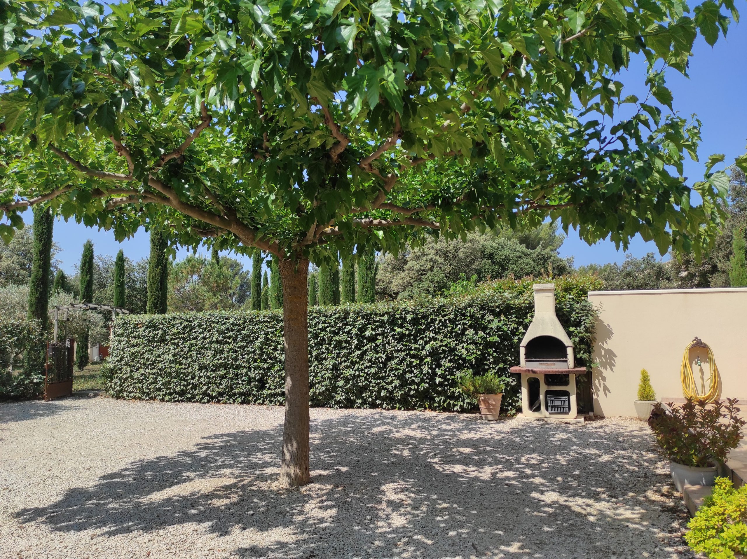 jardin vue coté ouest