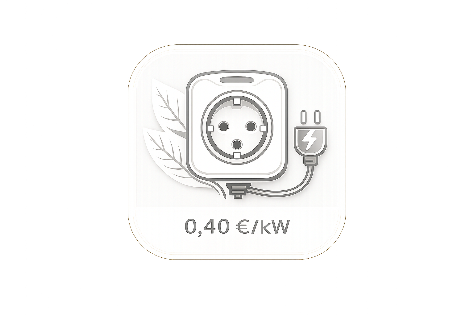 prise_veh_elec